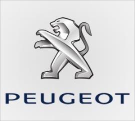 Peugeot Aks Tamiri