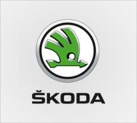 Skoda Aks Tamiri
